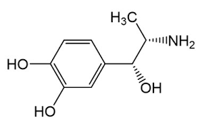 Buy Corbadrine (Neo-Cobefrine) Cas 829-74-3