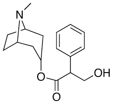 Buy Atropine (anticholinergic) Cas 51-55-8