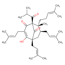 Buy Hyperforin (Hypericum) Cas 11079-53-1