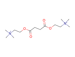 Buy Suxamethonium chloride (Scoline) Cas 306-40-1