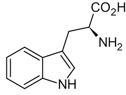 Buy Tryptophan (amino) Cas 73-22-3